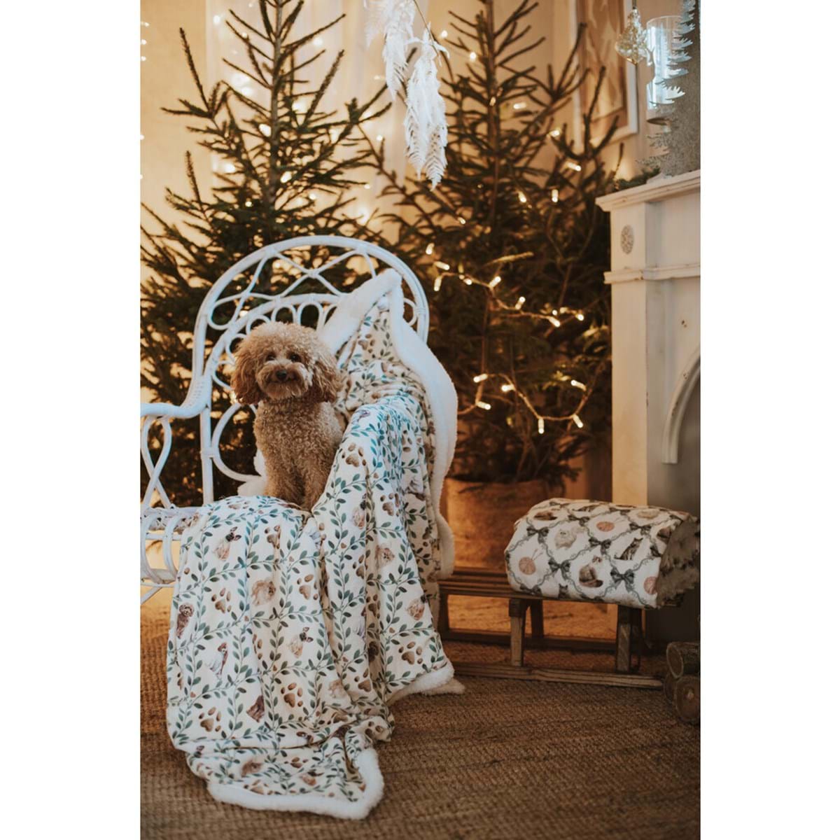 Plaid chien 170 X 140 cm
