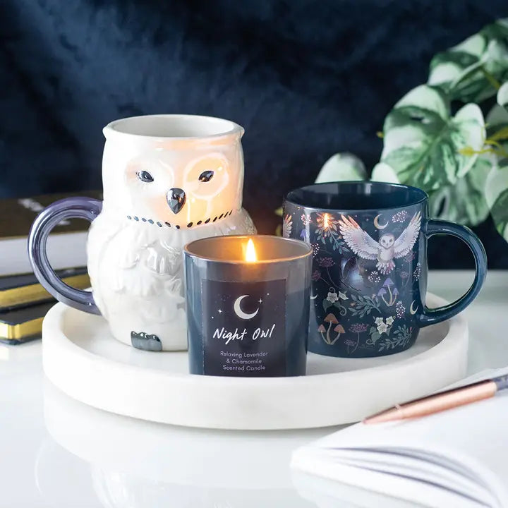 Mug 320 ml &quot;Night Flight Owl&quot;